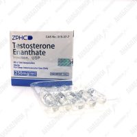 TESTOSTERON-E 10x1ml 250mg/ml ZPHC