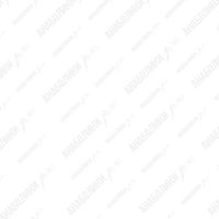 Oxandrolone 100tab 10mg/tab BODY PHARM (срок годности 11.24)